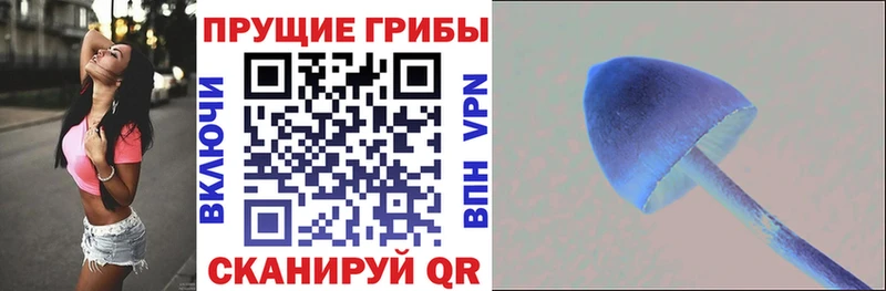Купить где  Богородицк  Галлюциногенные грибы мицелий 